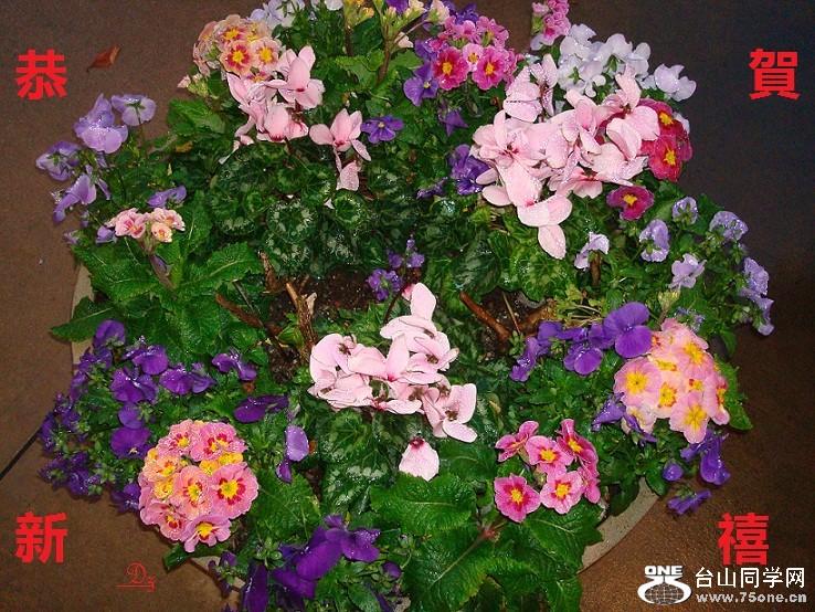 DSC00866-d.jpg