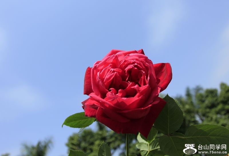 _MG_9266.jpg