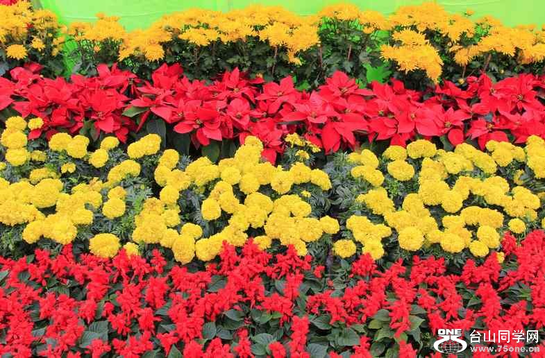 _MG_1503.jpg