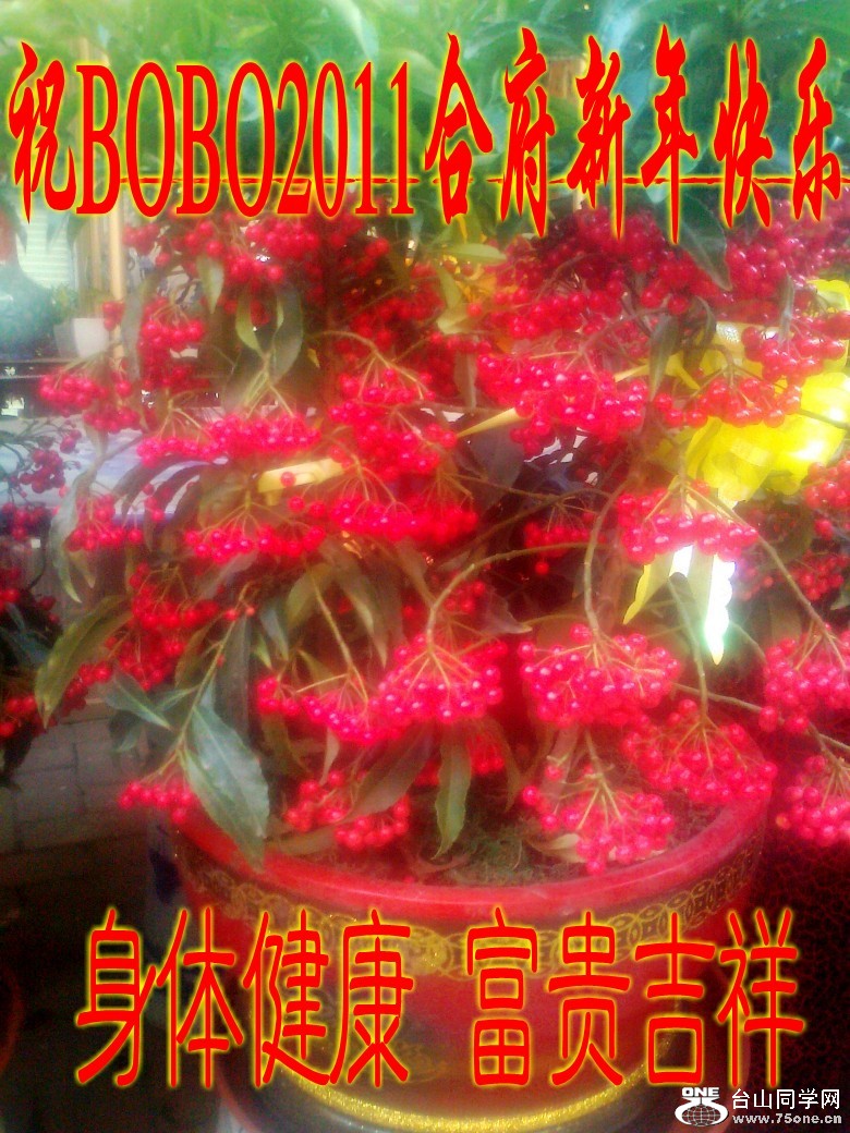 Ƭ0389_conew3.jpg