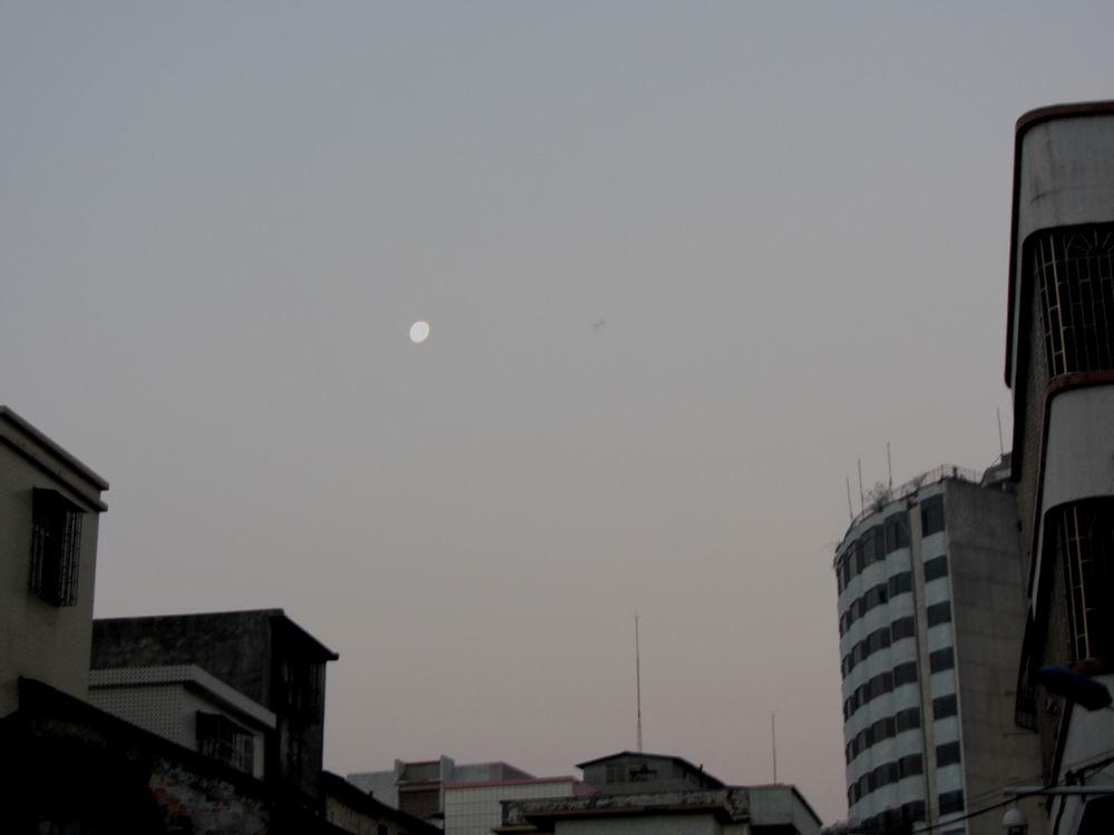 IMG_3565.JPG