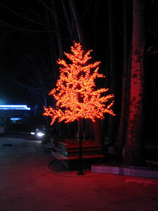 IMG_2189.JPG