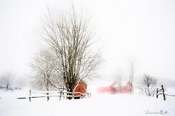 �}�u -42a94z5.jpg