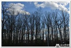 �}�u -2_35908_654b951b5f52dd8.jpg