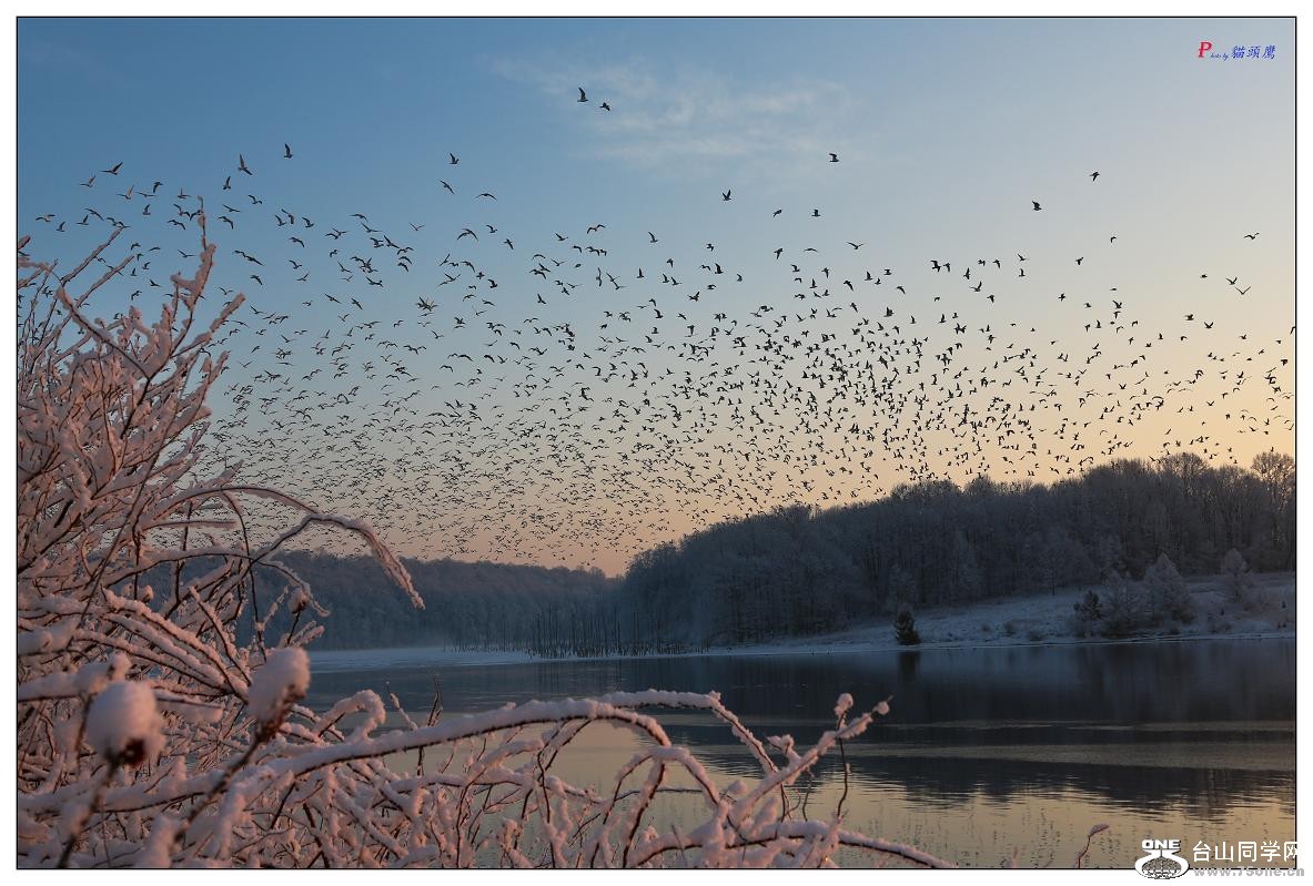 �}�u -62-175-1.jpg