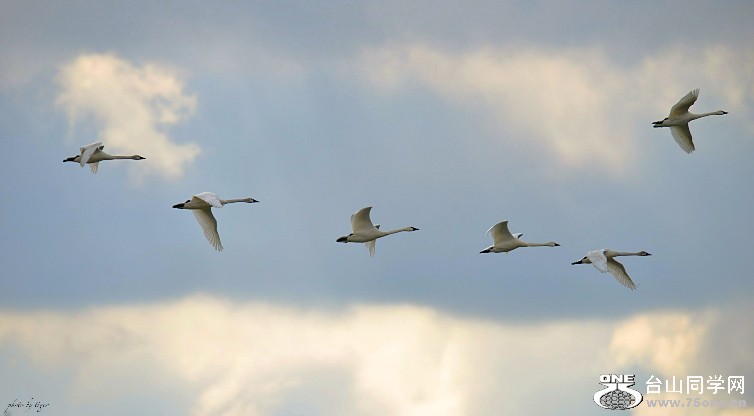 untitled 3954sen.jpg