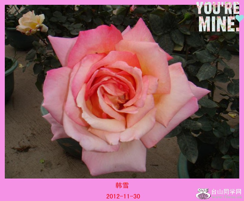 DSC00355 (��)_����.jpg