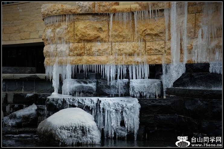 2013-2-2 Flowers 193_����.jpg