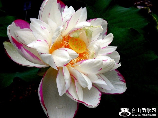 xpic3730.jpg