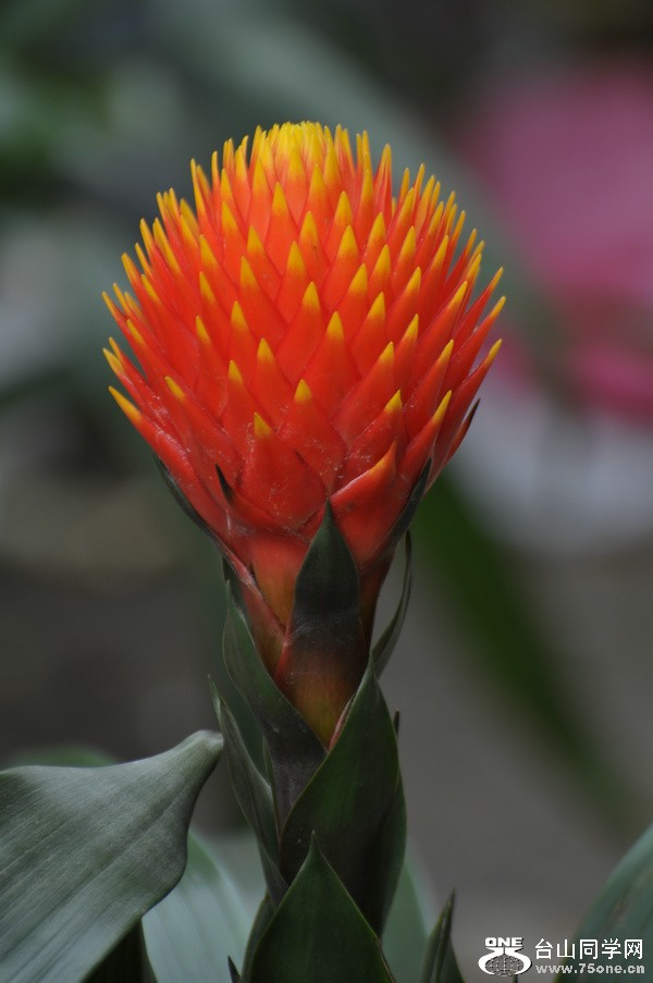 DSC_6187.JPG