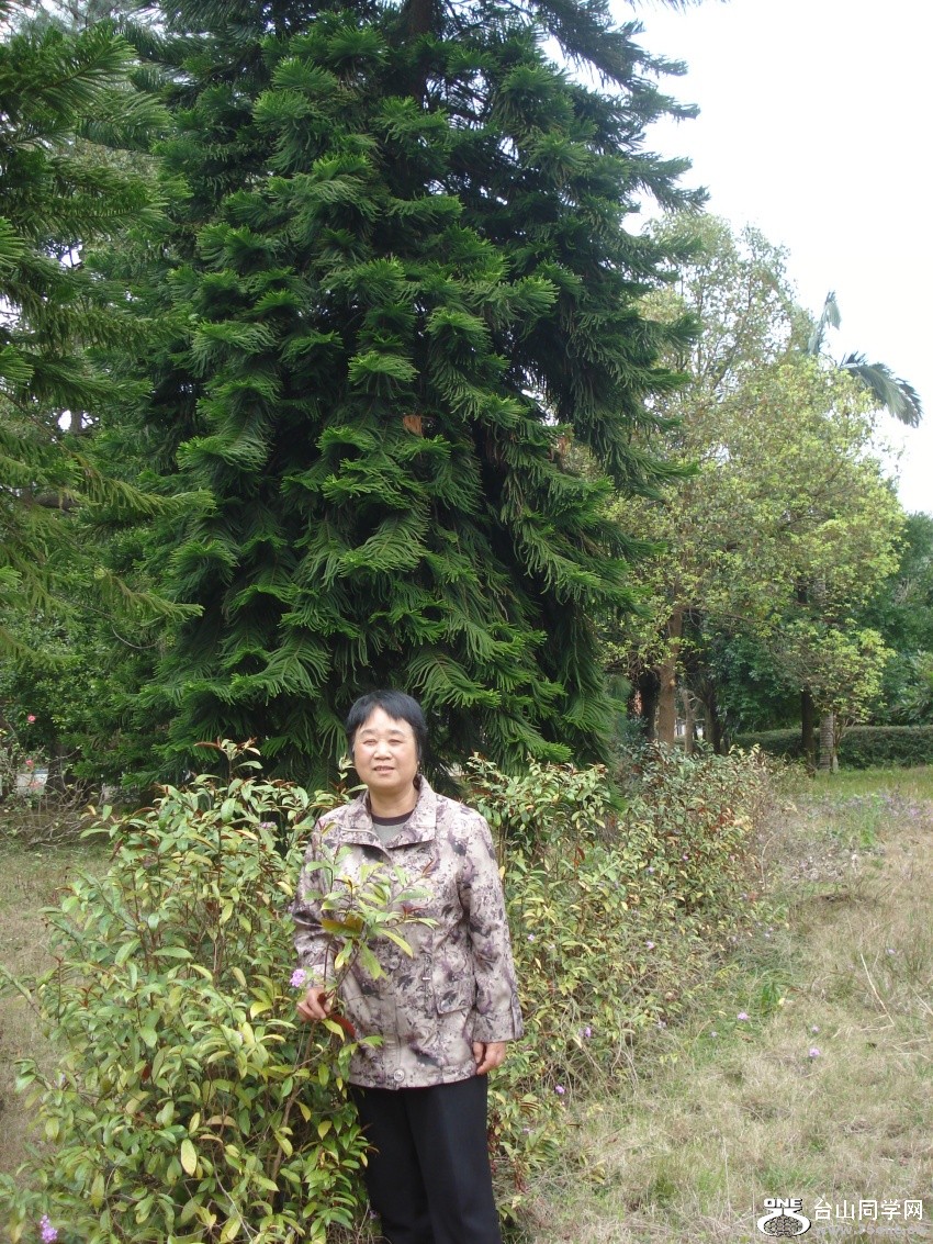 DSC03237_.jpg