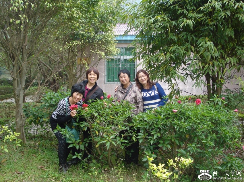DSC03260_.jpg