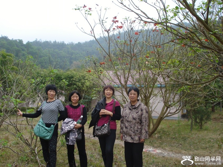 DSC03240_.jpg