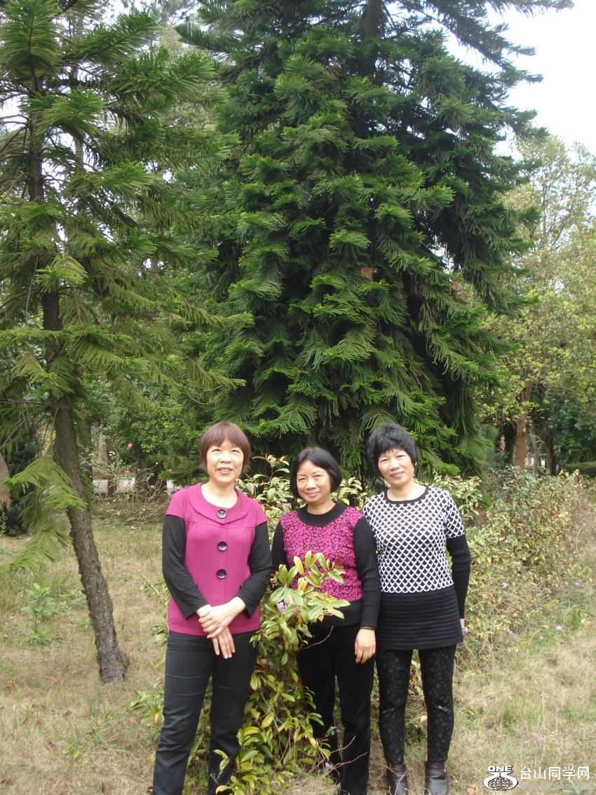 DSC03236_.jpg