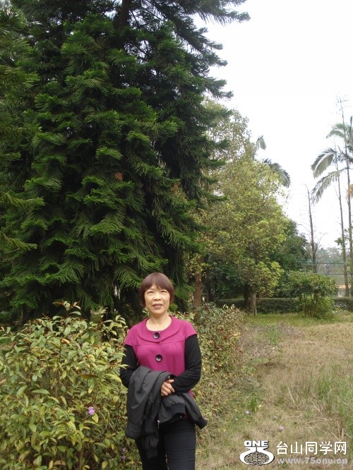 DSC03238_.jpg