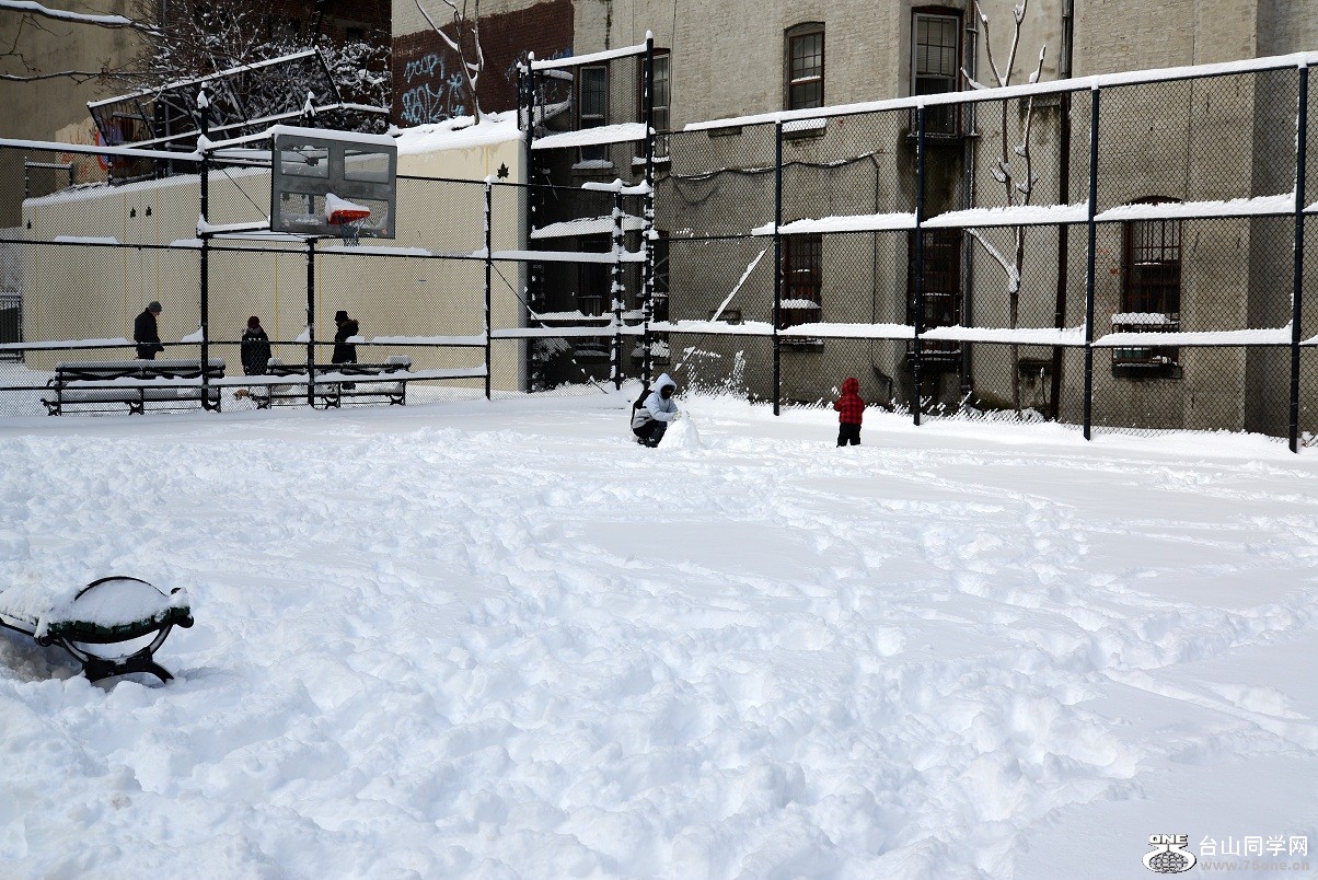 DSC_0438.JPG