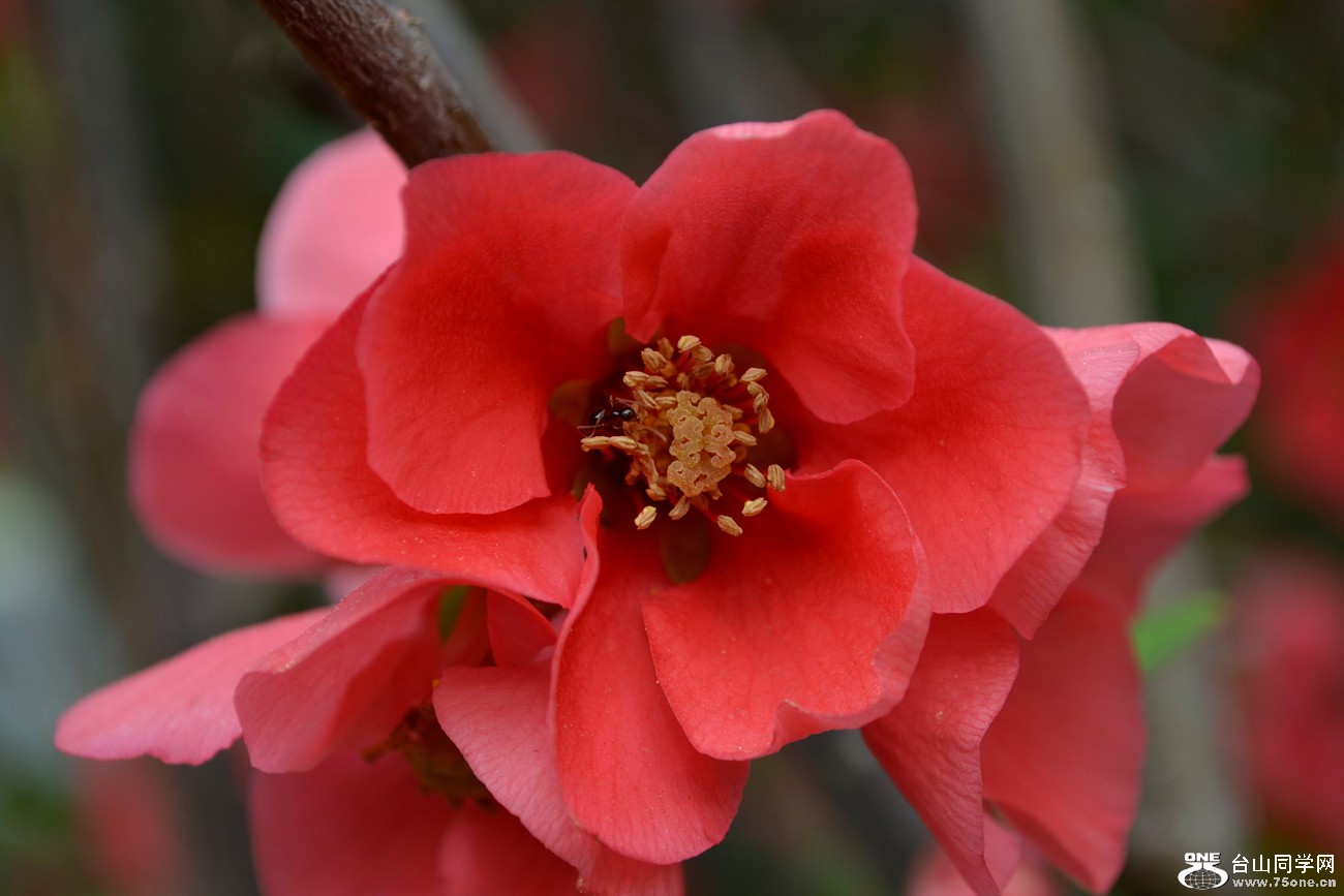 DSC_2718_52.jpg