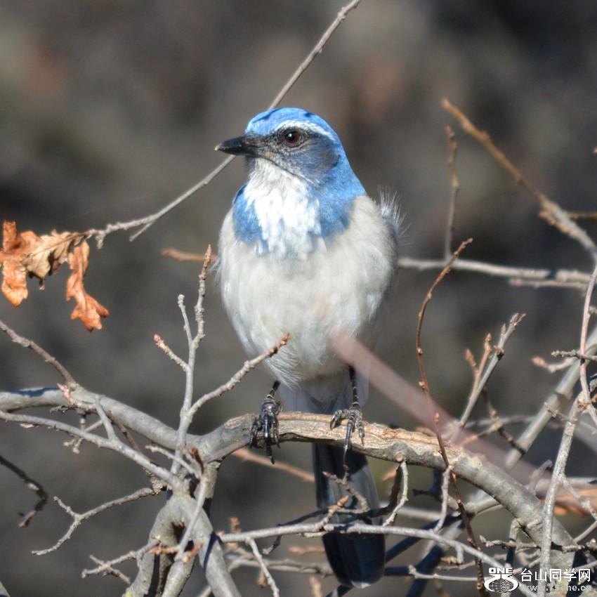 DSC_5158_3.jpg