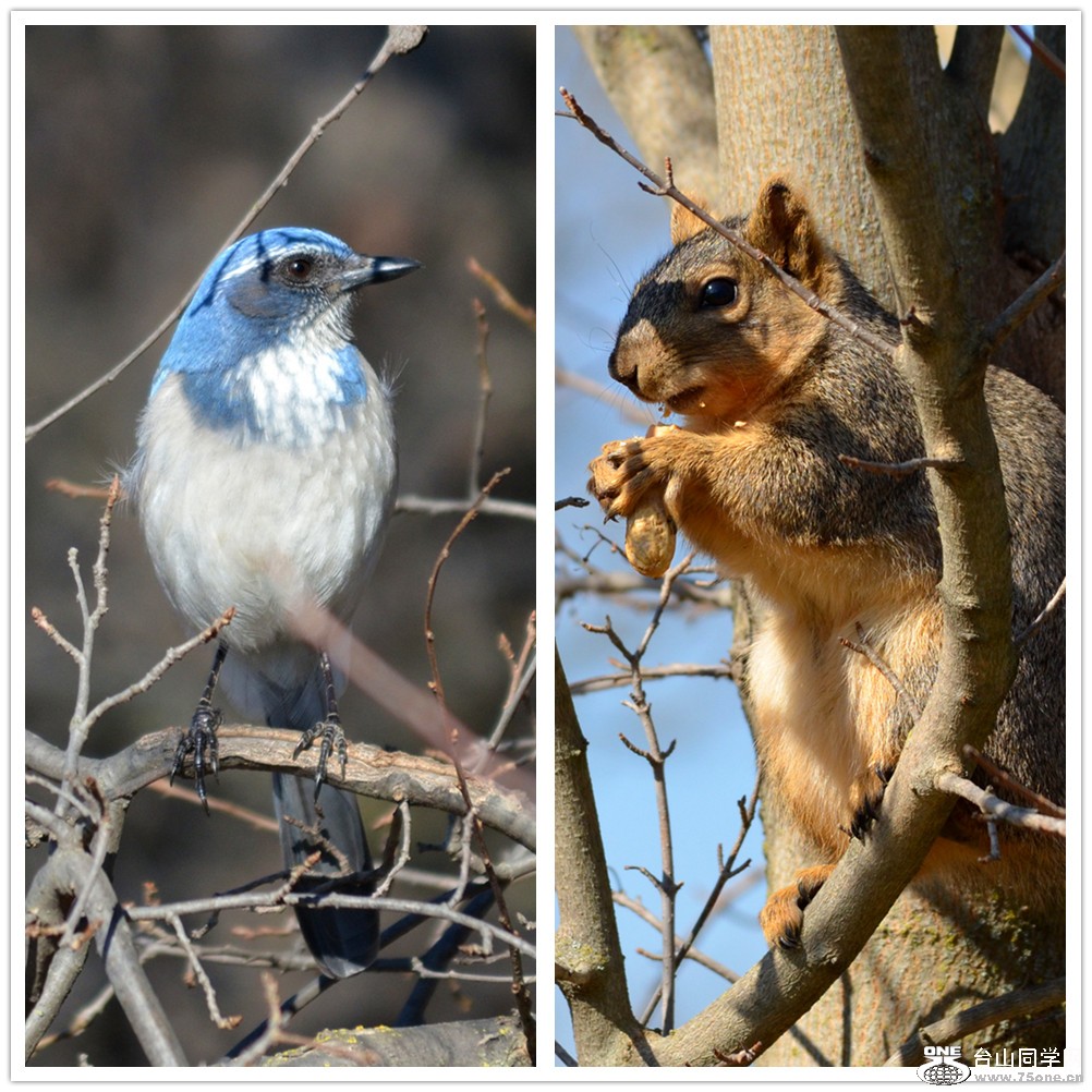 DSC_5173_6.jpg