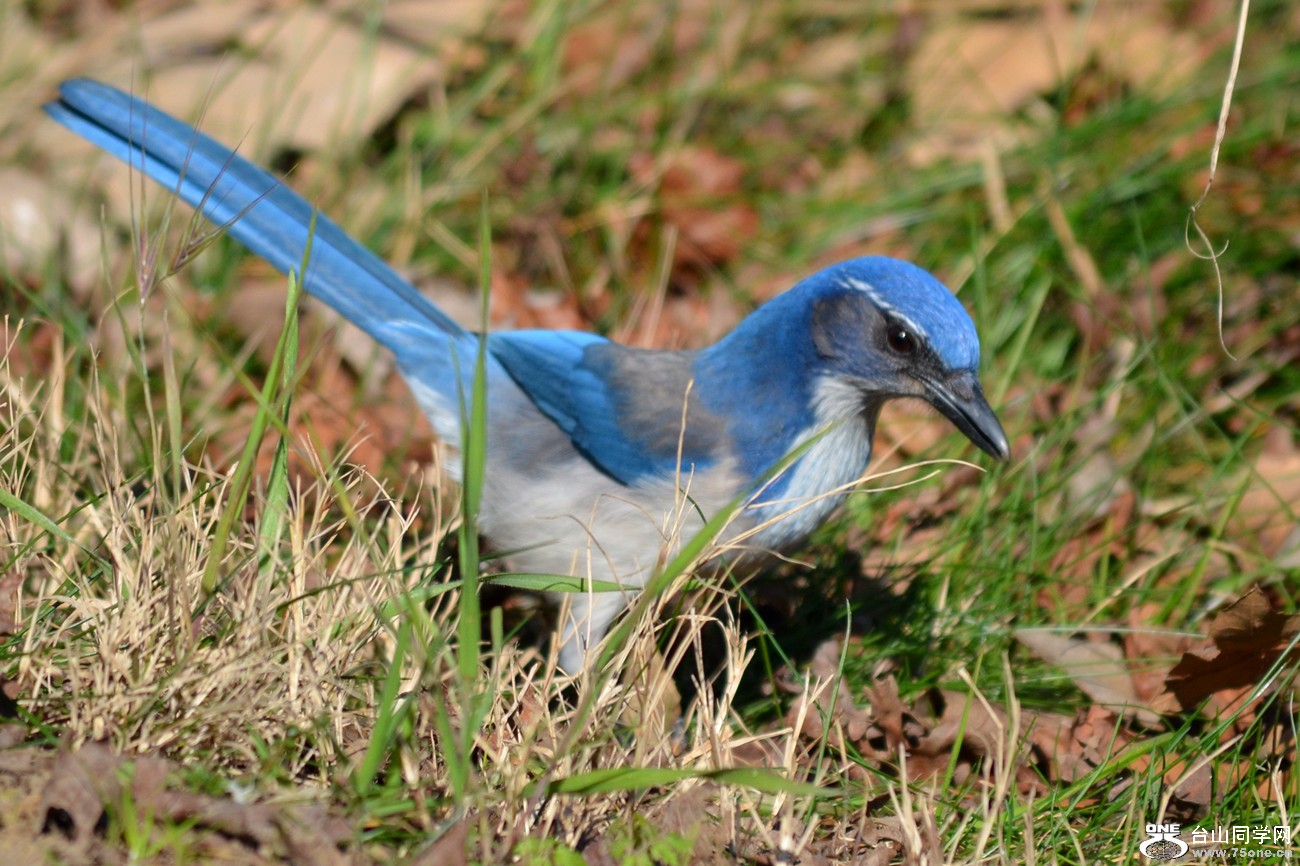 DSC_8002_14.jpg