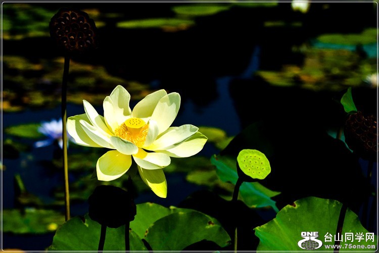 105_35075_e7b86687bb879e8[1].jpg