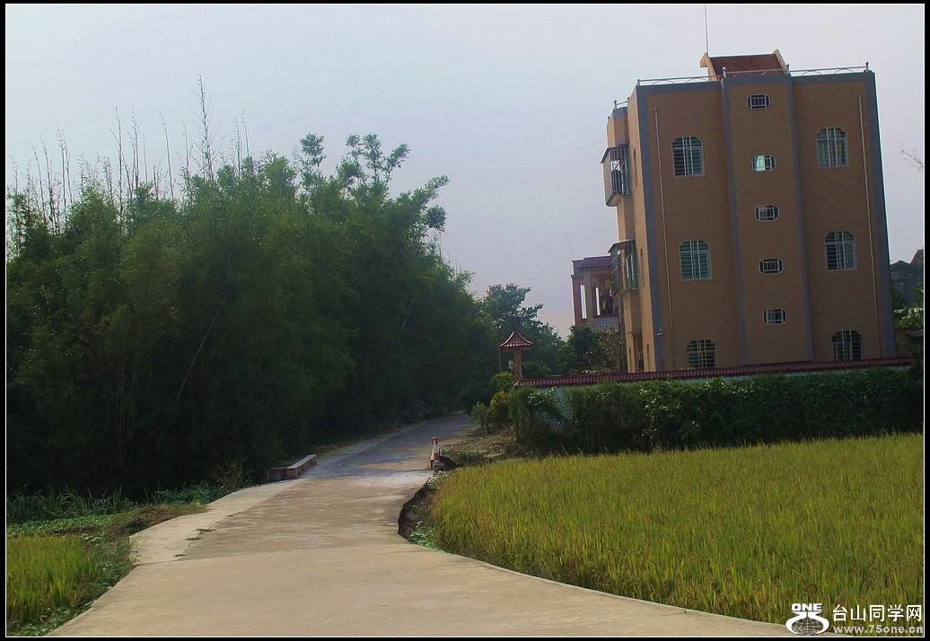 309.jpg
