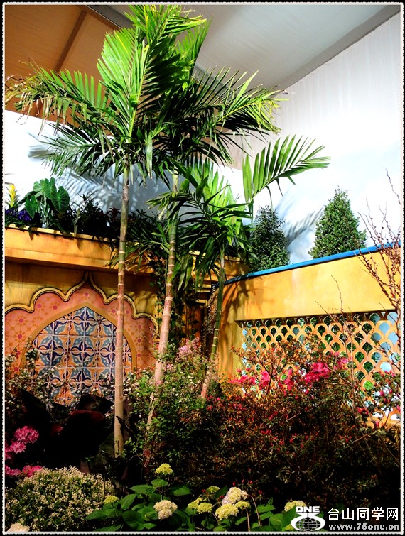 DSCN6204.jpg
