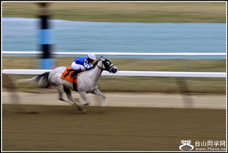 _DSC6612a.jpg