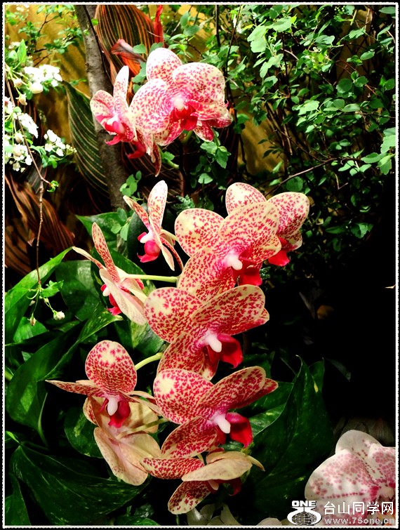 DSCN6230.jpg