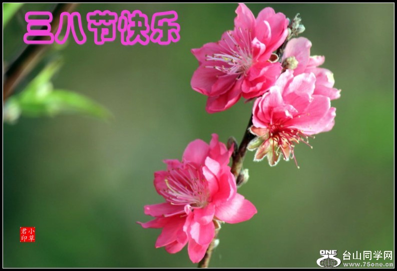 IMG_4184_conew2.jpg