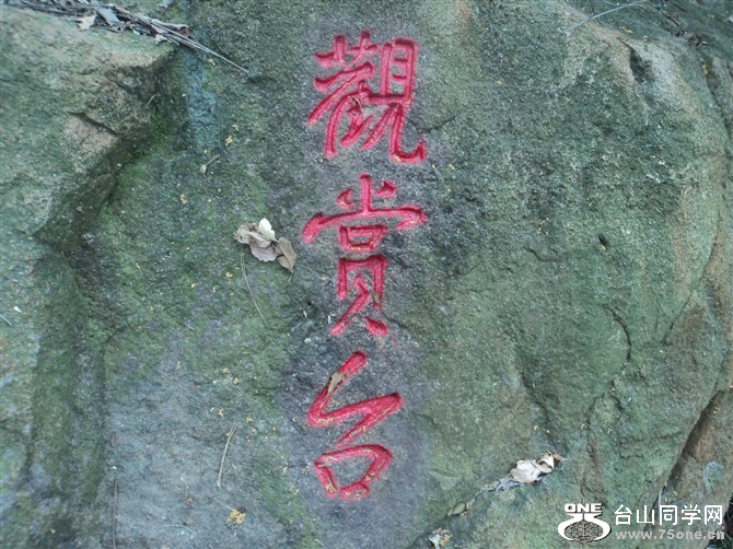 107.jpg