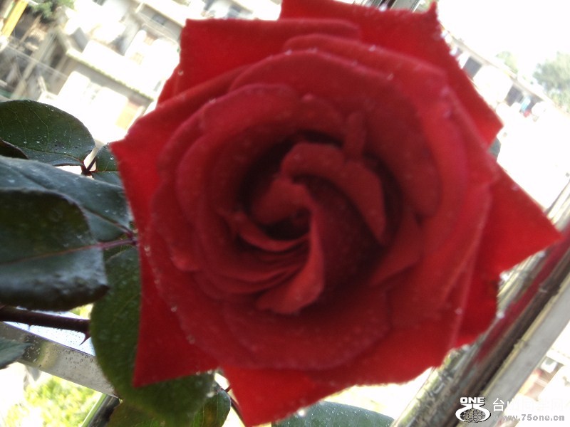 psb (29).jpg