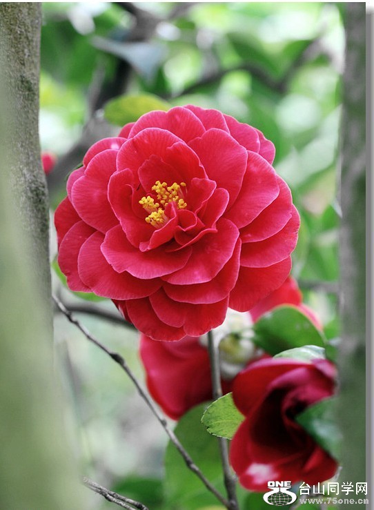 QQͼƬ20130323215803.jpg
