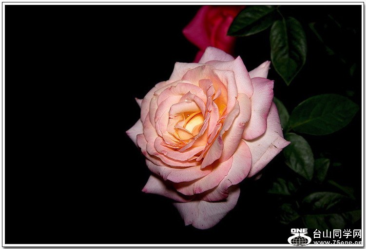 psb (21).jpg