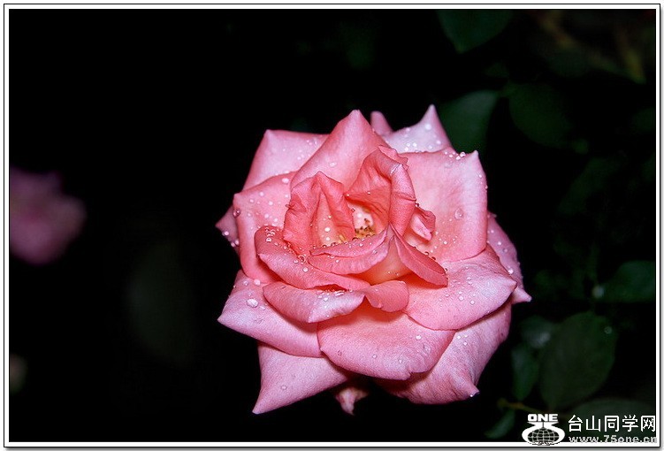 psb (9).jpg