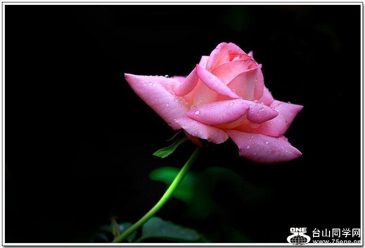 psb (18).jpg