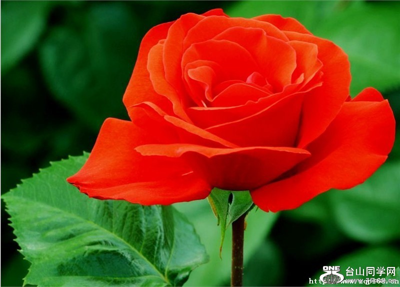 105_41797_2d5815796cc6427.jpg