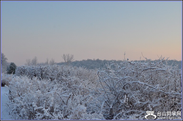 DSC_3285.jpg