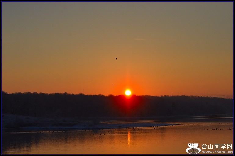 DSC_3325.jpg