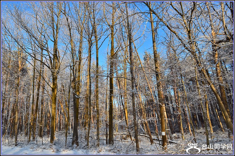 DSC_3576.jpg