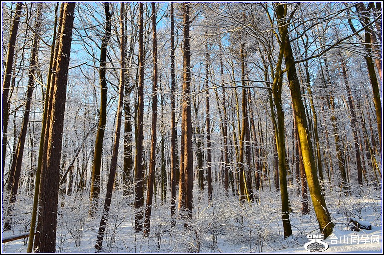 DSC_3549.jpg