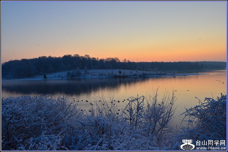 DSC_3273.jpg