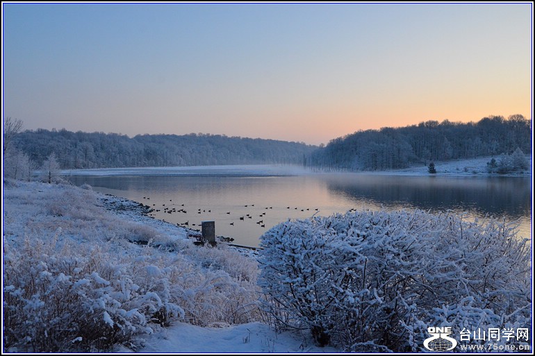 DSC_3272.jpg