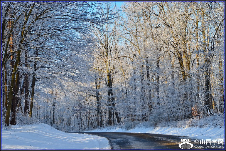 DSC_3564.jpg