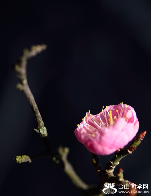 DSC_4012.jpg