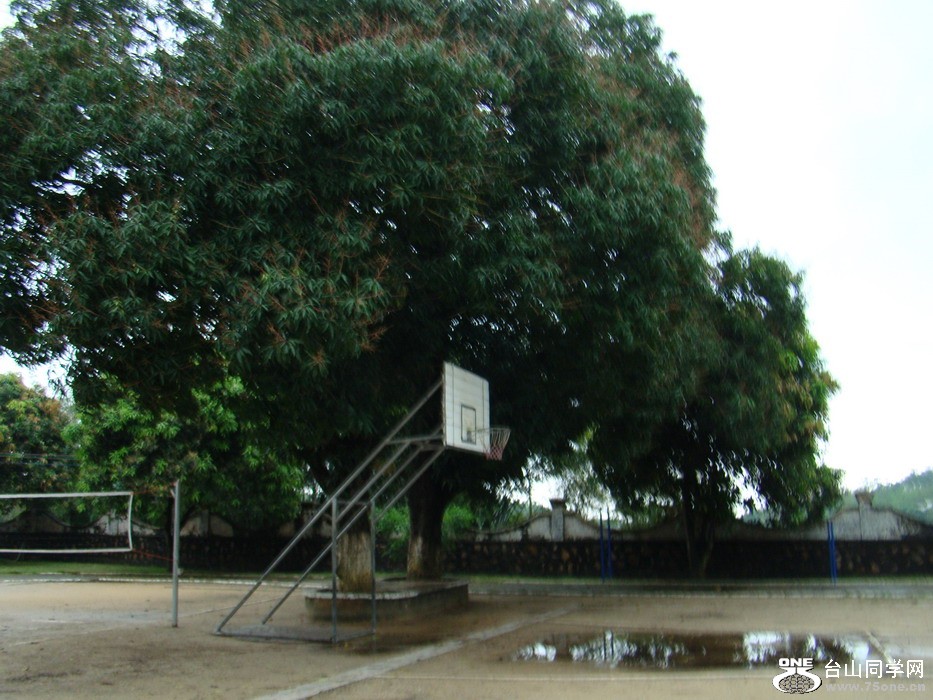 DSC02349.jpg