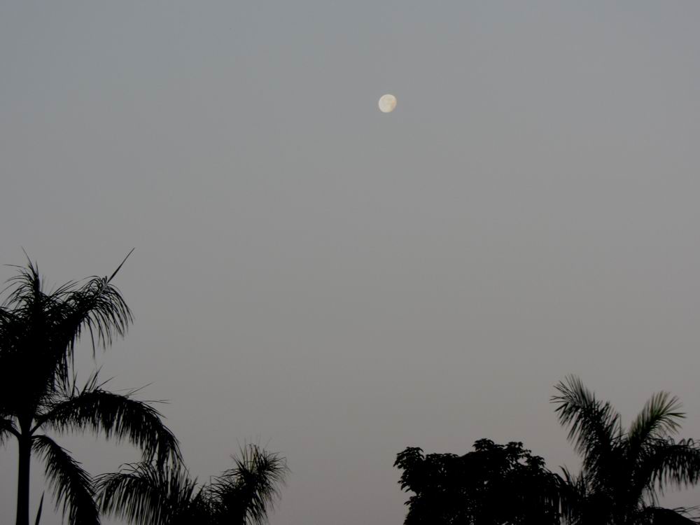 IMG_3566.JPG