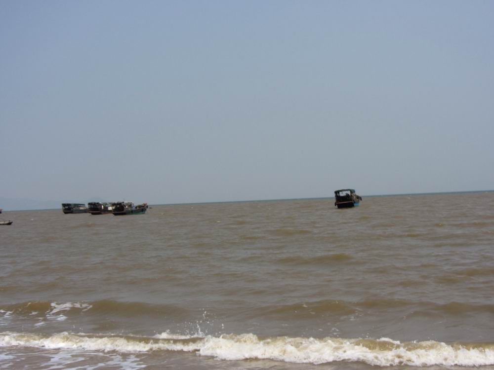 IMG_4310.JPG