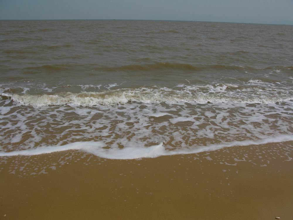IMG_1556.JPG