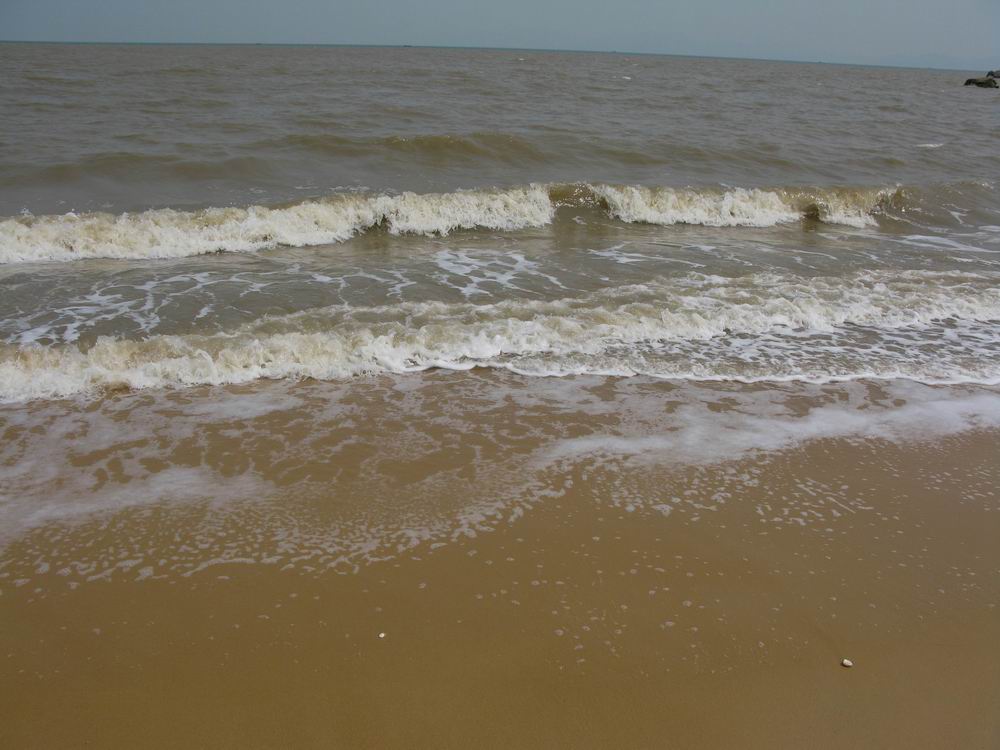 IMG_1559.JPG